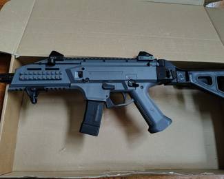 CZ scorpion Pistol with SB folding brace.