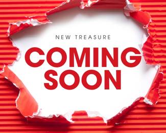 298 - COMING SOON