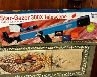 #206	painted green fruit table with 2 drawers and 2 doors 48x10x32	 $100.00 			
#207	star gazer 300x telescope 	 $45.00 			
