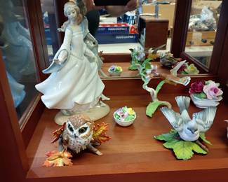 We have a menagerie up for adoption.