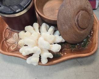 nice chunk of coral