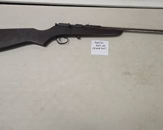 Hamilton bicycle gun 22