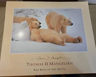 Thomas Mangelsen prints - multiple copies of same print available 32" w x 23" t
Suitable for framing