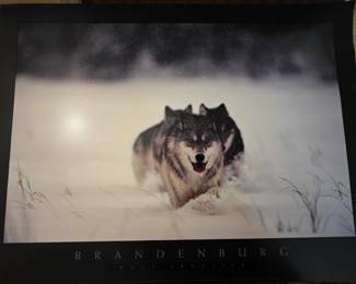 Thomas Mangelsen prints - multiple copies of same print available 32" w x 23" t
Suitable for framing