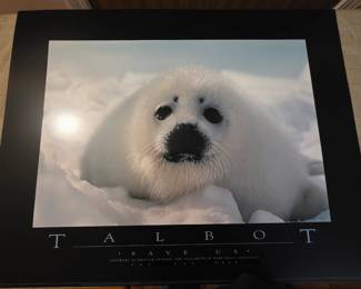 Thomas Mangelsen prints - multiple copies of same print available 32" w x 23" t
Suitable for framing