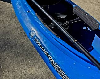 Pungo 100 Wilderness Kayak - 10 feet long
Buy it Now $450
Retails for $900
Just in time for some Autumn river kayaking!