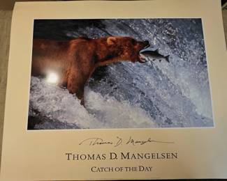 Thomas Mangelsen prints - multiple copies of same print available 32" w x 23" t
Suitable for framing
