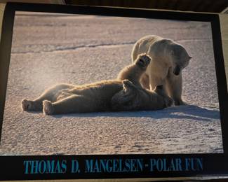 Thomas Mangelsen prints - multiple copies of same print available 32" w x 23" t
Suitable for framing