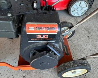 Sears Craftsman 3.0 Reserve Power lawn edger