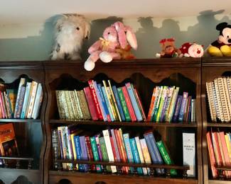 Some of the hundreds of books, mainly children's books
