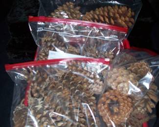 Pinecones