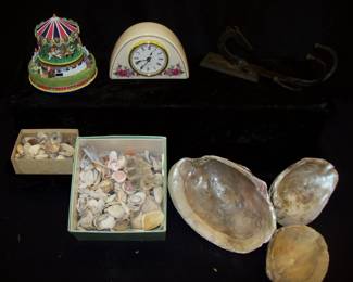 Seashells