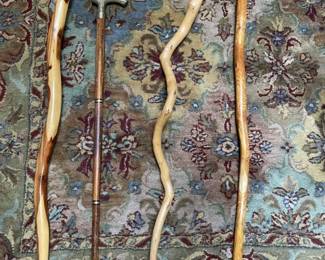 Walking sticks and canes collection