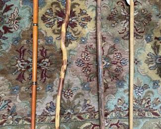 Walking sticks and canes collection