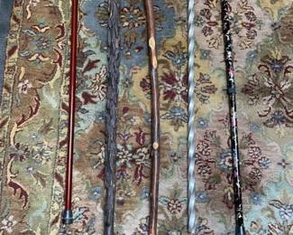 walking sticks and canes collection