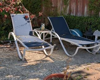 Lounge Chairs