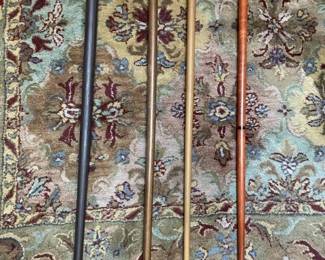 Walking sticks and canes collection