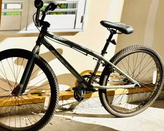Diamond Back Mountain Bike
