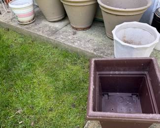 Several Flower Pots