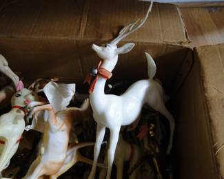 White Deer