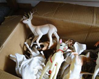 More white deer