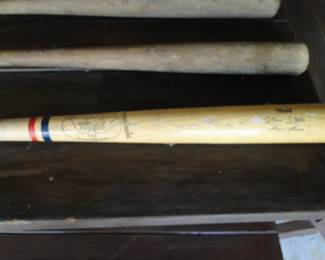 Bat #1