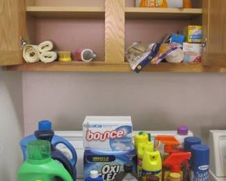 Cleaning Supplies & Chemicals