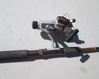 Fishing Pole & Reel