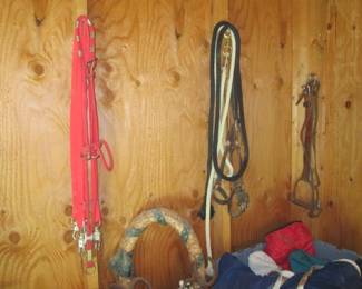 Braided Reins & Bridles