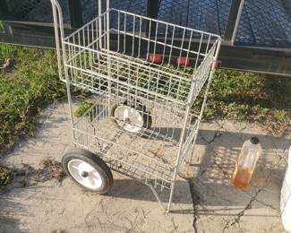 Groom cart