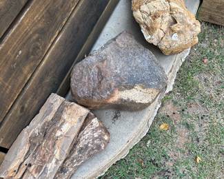 petrified
