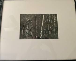 Frank Armstrong photograph