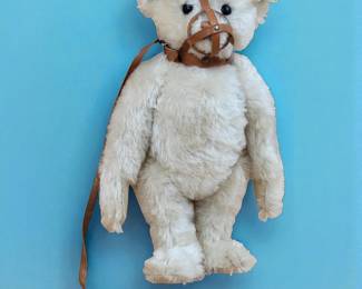 Steiff Muzzle Teddy Bear W/ Voice Box Circa 1988/89 Limited Edition #3788 White Tag 18" Tall