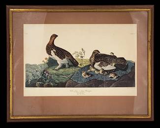 J.J. AUDUBON, WILLOW GROUS OR LARGE PTARMIGAN, PLATE CXC1, NO. 39.