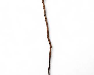 Ceremonial Plains Indian Tribal Walking Stick Depicting Shamanistic Rituals And Zoomorphic Creatures