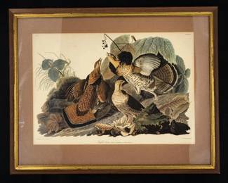 J.J. AUDUBON, RUFFLED GROUSE, PLATE XLI, NO. 9.