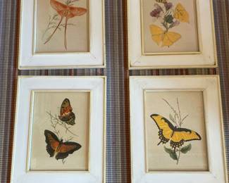 JP Donovan Butterfly Prints - 13.5" x 16.5" - Set of 4 - $395.00