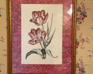 Fridericus Rex Tulipa Art - 21" x 27.5" - $75.00