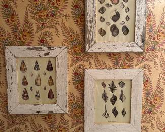 Set of 3 Seashells Prints 14.5" x 12.5" - $111.00