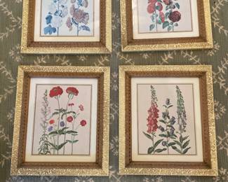 Sonja Willman Floral Prints *Top left faded* - 13.5" x 16" - Set of 4 - $154.00
