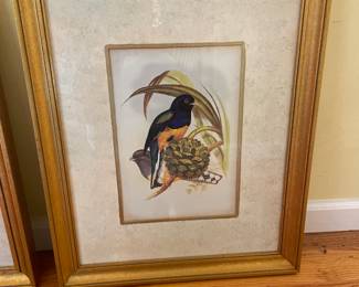 Gould Birds IV Print Gold Frame John Gould - 18.5" x 22.5" - $175.00