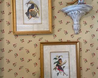 Gould Birds Prints Gold Frame John Gould - 18.5" x 22.5" - $175.00 each