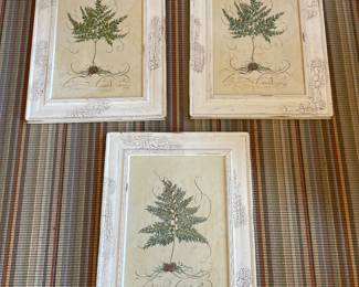 KC Home Limited Edition Fern Prints - Artist Signed & Dated - 16" x 21" - $175.00 each 