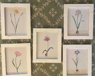 Two's Company Garden Prints White Wood Frame -9-3/4" x 111 3/4" -Set of 5 - $165.00