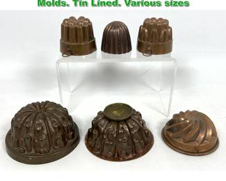 Lot 2321 Collection 6 Copper Sculptural Molds. Tin Lined. Various sizes