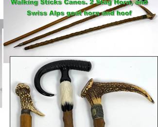 Lot 1893 3pcs Antique Horn Handled Walking Sticks Canes. 2 Stag Horn, and Swiss Alps goat horn and hoof