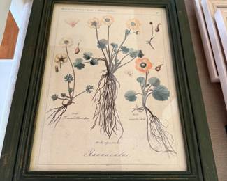 Botanical art