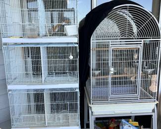 Brooder for newborns 