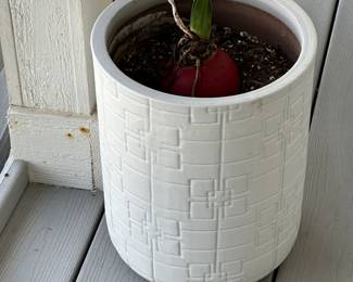 Ceramic pot
