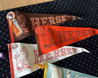 Vintage Hersey High School pennants